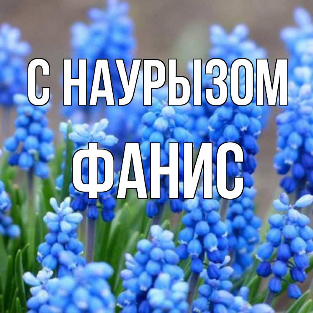 Открытка на каждый день с именем, Фанис С наурызом Поздравительная открытка для женщин с цветами на праздничную дату Прикольная открытка с пожеланием онлайн скачать бесплатно 