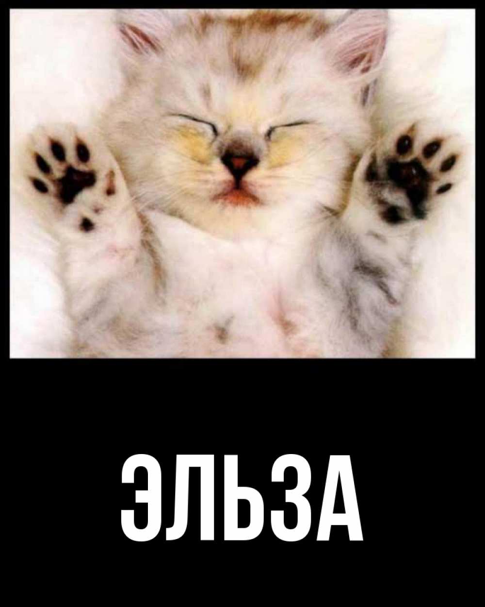 Открытка на каждый день с именем, Эльза Главная маленький котенок Прикольная открытка с пожеланием онлайн скачать бесплатно 