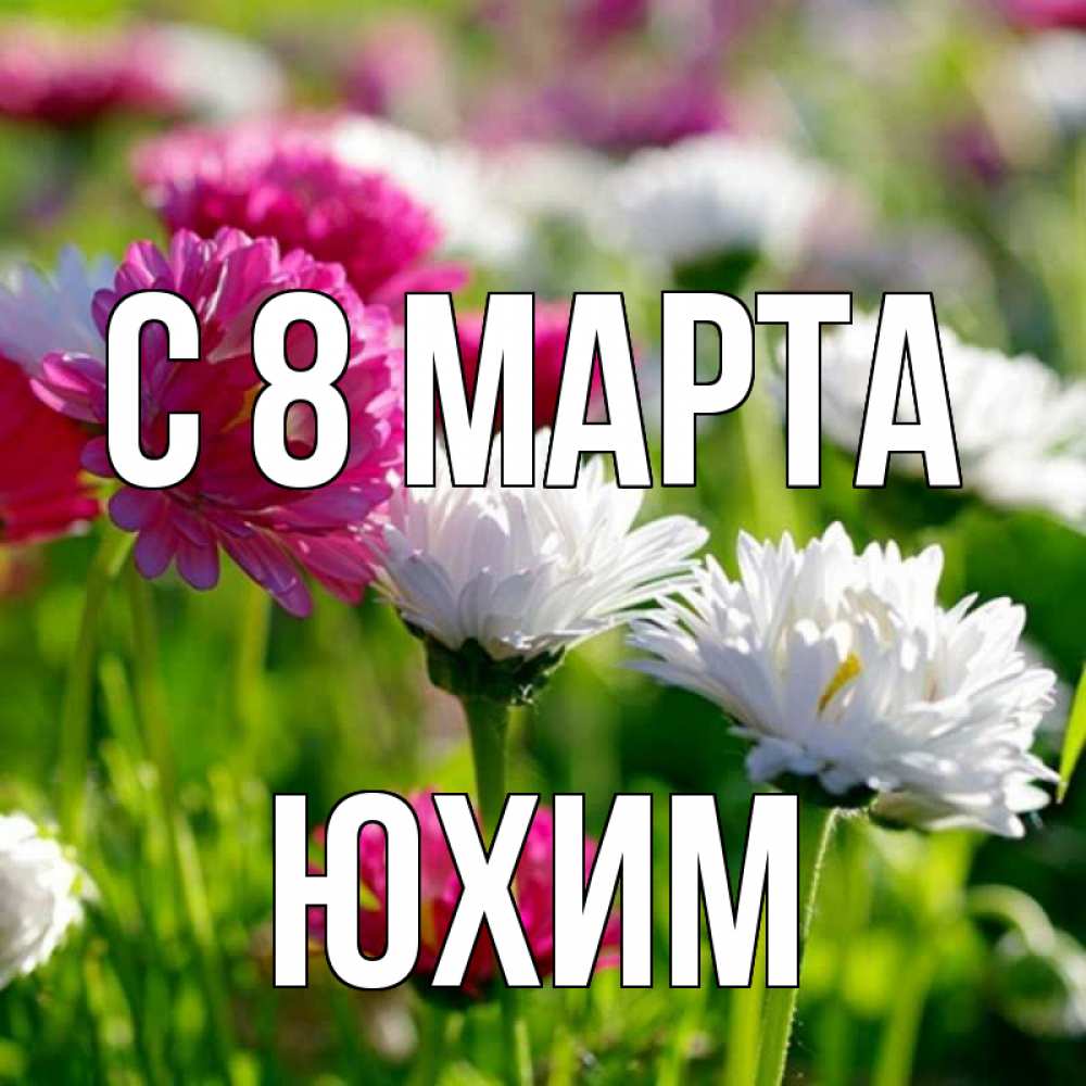 Открытка на каждый день с именем, Юхим С 8 МАРТА международный женский день 1 Прикольная открытка с пожеланием онлайн скачать бесплатно 