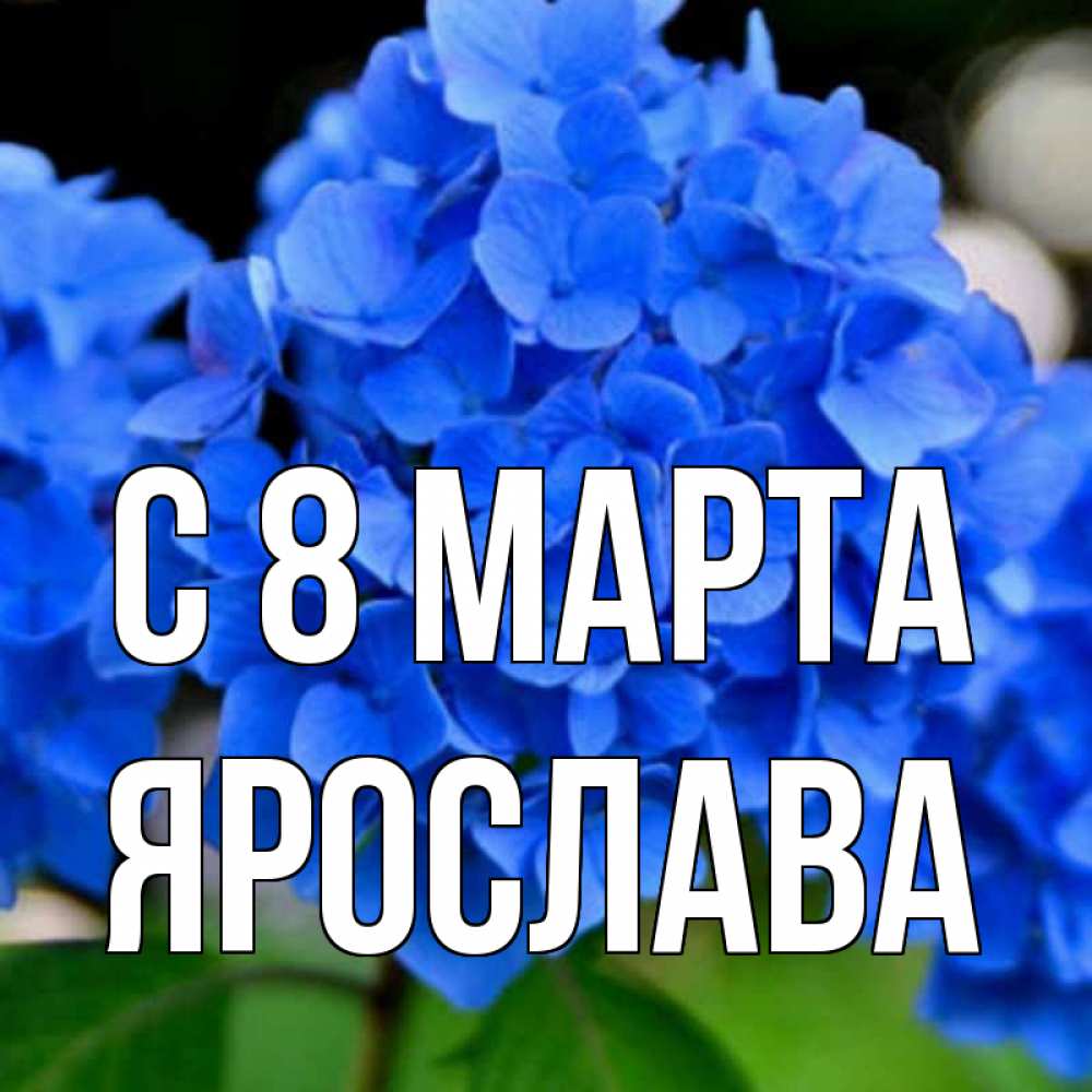 Картинка С 8 МАРТА, Ярослава