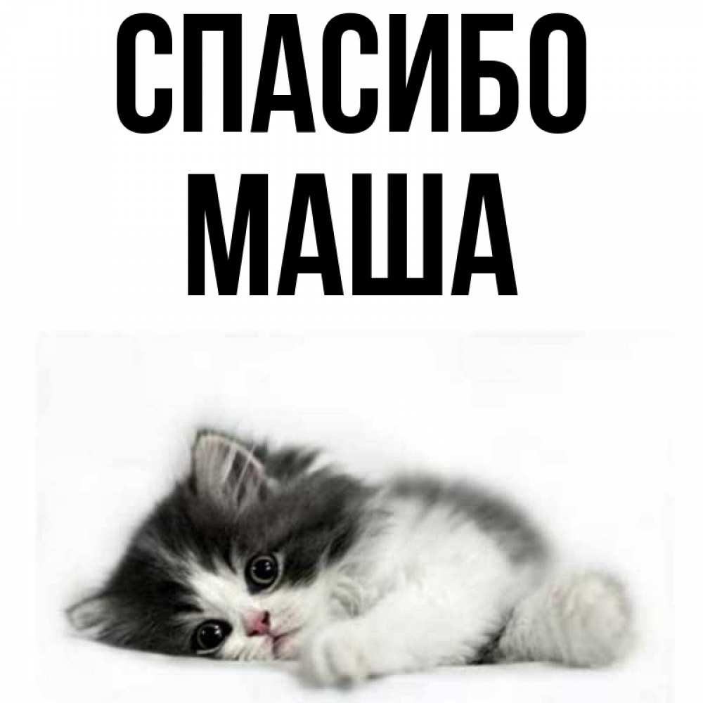 Прикольные картинки с именем маша