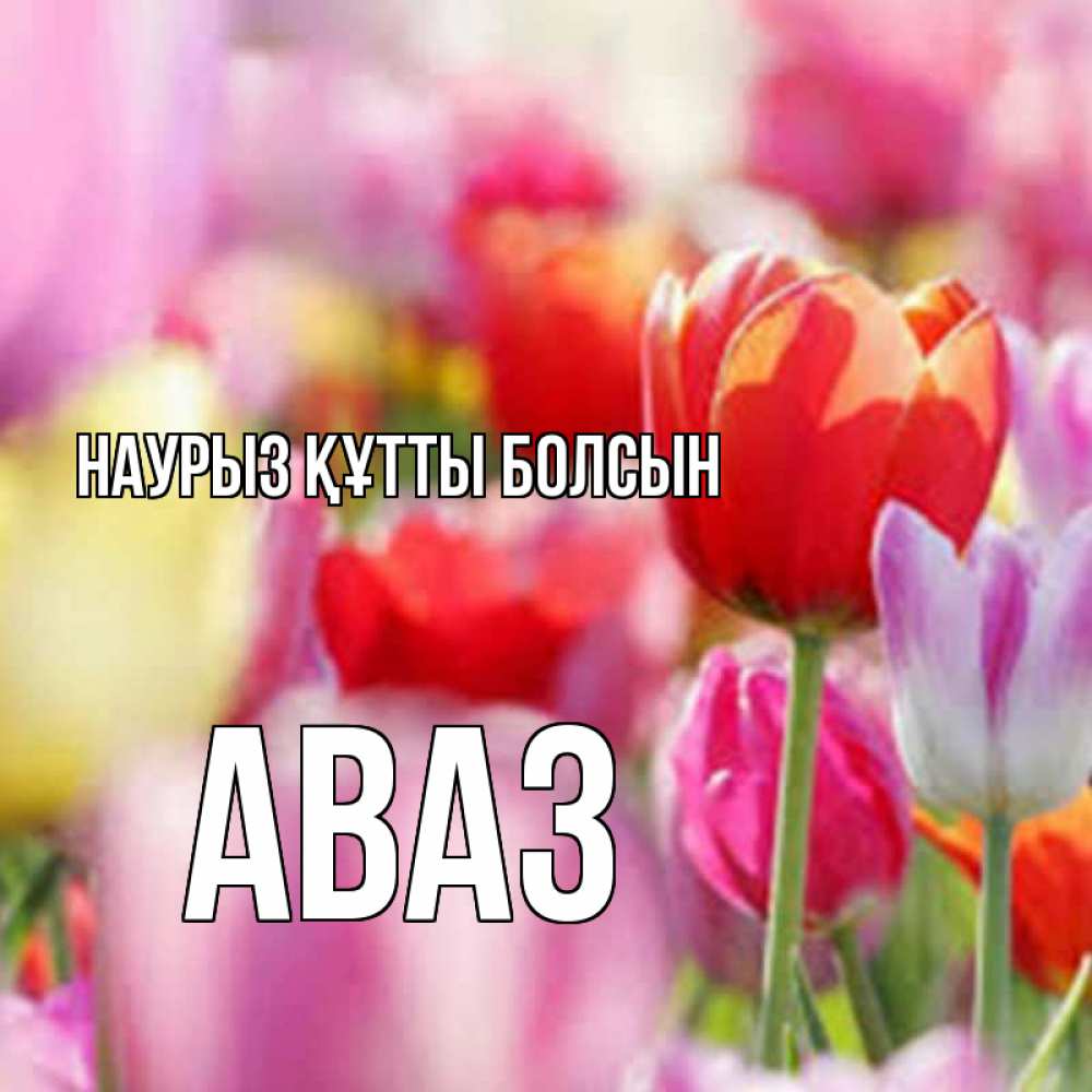 Открытка на каждый день с именем, Аваз Наурыз құтты болсын на наурыз  2 Прикольная открытка с пожеланием онлайн скачать бесплатно 