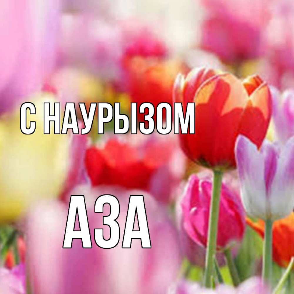 Открытка на каждый день с именем, Аза С наурызом праздник весны наурыз 67 Прикольная открытка с пожеланием онлайн скачать бесплатно 