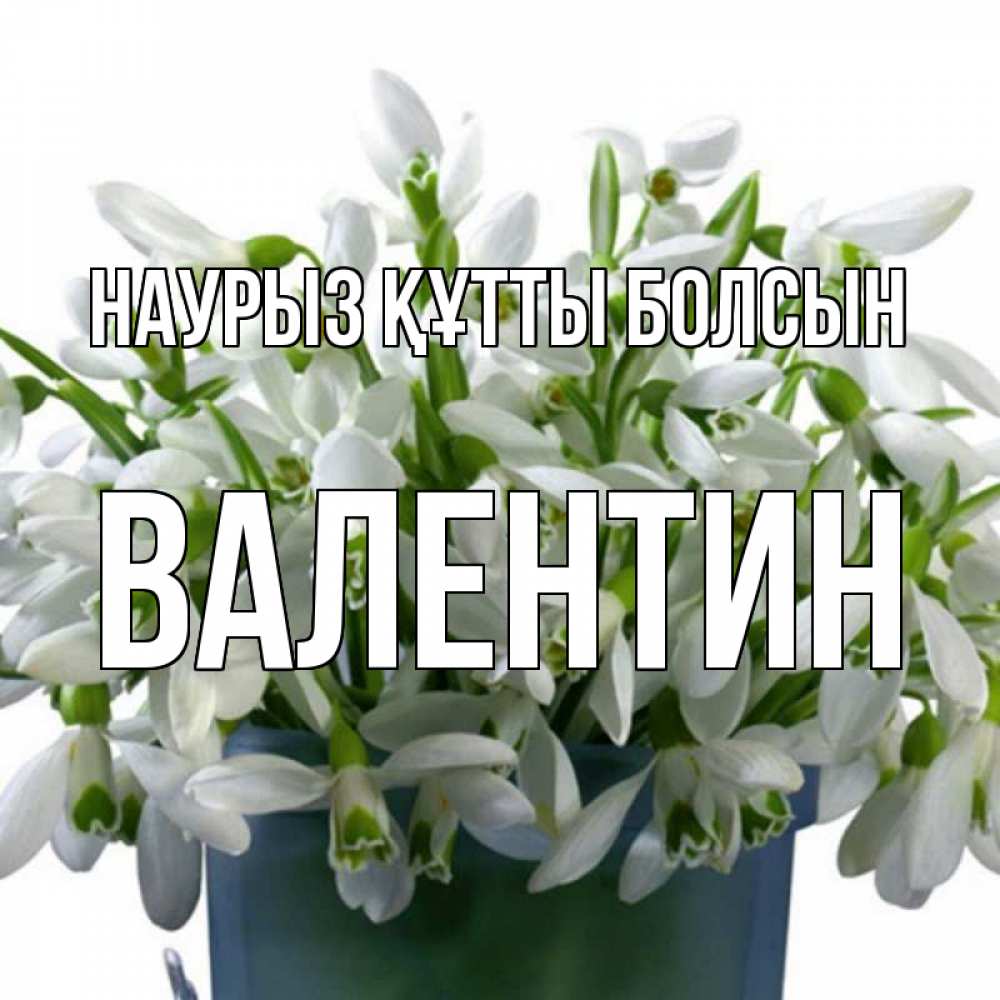 Открытка на каждый день с именем, Валентин Наурыз құтты болсын цветы к наурызу Прикольная открытка с пожеланием онлайн скачать бесплатно 