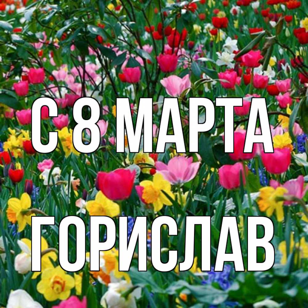 Открытка на каждый день с именем, Горислав С 8 МАРТА с международным женским днем поздравления для женщины Прикольная открытка с пожеланием онлайн скачать бесплатно 