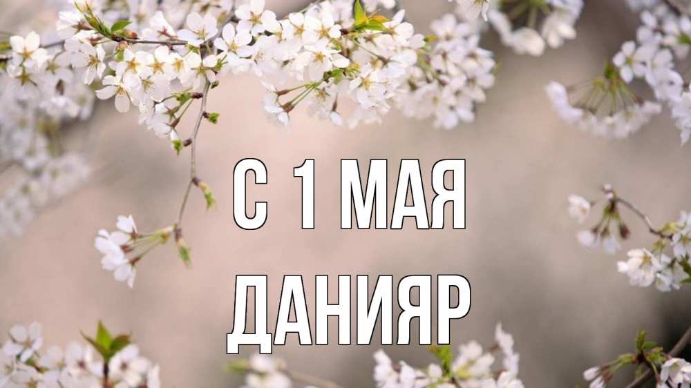 Открытка на каждый день с именем, Данияр С 1 мая С 1 мая Прикольная открытка с пожеланием онлайн скачать бесплатно 