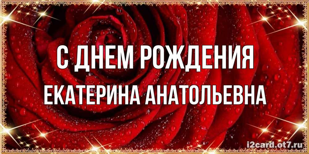 Открытка на каждый день с именем, Екатерина-Анатольевна С днем рождения роса на розе блестящая в лучах солнца Прикольная открытка с пожеланием онлайн скачать бесплатно 