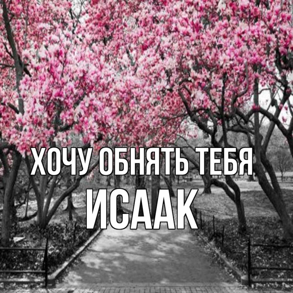 Открытка на каждый день с именем, Исаак Хочу обнять тебя обработанное фото Прикольная открытка с пожеланием онлайн скачать бесплатно 