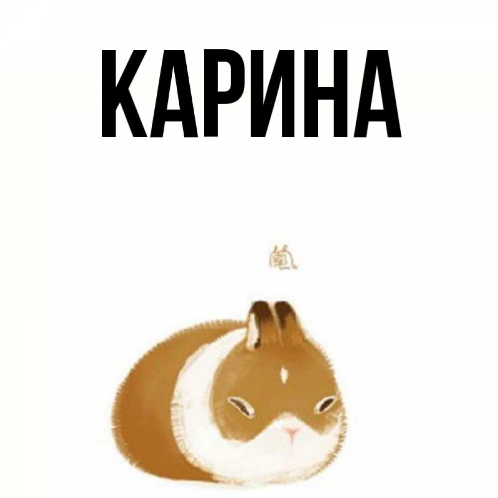 Открытка на каждый день с именем, Карина Главная коричнево белый домашний питомец Прикольная открытка с пожеланием онлайн скачать бесплатно 