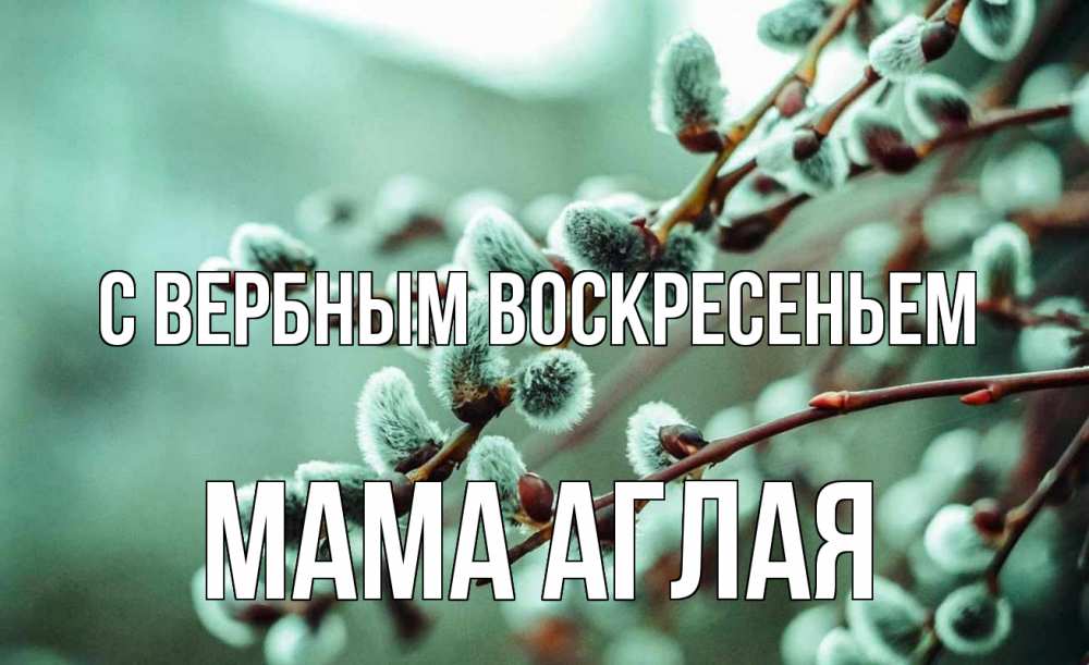 Открытка на каждый день с именем, Мама-Аглая С вербным воскресеньем верба Прикольная открытка с пожеланием онлайн скачать бесплатно 