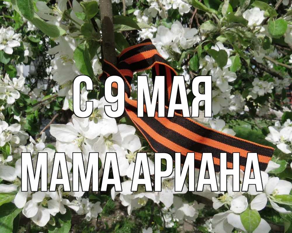 Открытка на каждый день с именем, Мама-Ариана С 9 мая 9 мая Прикольная открытка с пожеланием онлайн скачать бесплатно 