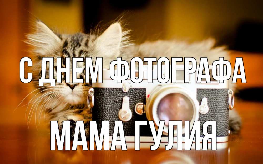 Открытка на каждый день с именем, Мама-Гулия С днем фотографа с днем фотографа Прикольная открытка с пожеланием онлайн скачать бесплатно 