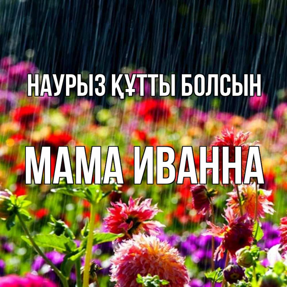Открытка на каждый день с именем, Мама-Иванна Наурыз құтты болсын цветы под дождиком к наурызу Прикольная открытка с пожеланием онлайн скачать бесплатно 