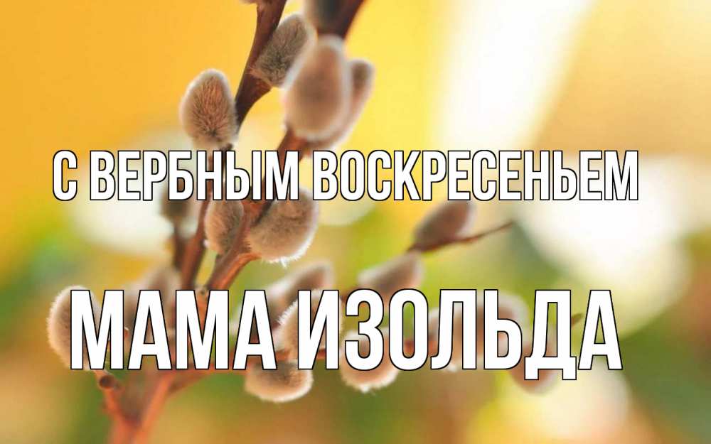 Открытка на каждый день с именем, Мама-Изольда С вербным воскресеньем верба Прикольная открытка с пожеланием онлайн скачать бесплатно 
