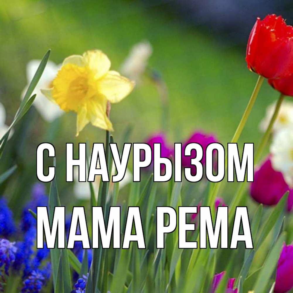 Открытка на каждый день с именем, Мама-Рема С наурызом праздник весны наурыз 3 Прикольная открытка с пожеланием онлайн скачать бесплатно 