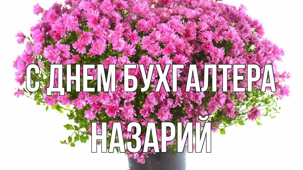 Открытка на каждый день с именем, Назарий С днем бухгалтера с днем бухгалтера Прикольная открытка с пожеланием онлайн скачать бесплатно 