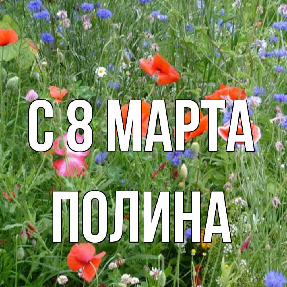 Открытка на каждый день с именем, Полина С 8 марта международный женский день 4 Прикольная открытка с пожеланием онлайн скачать бесплатно 
