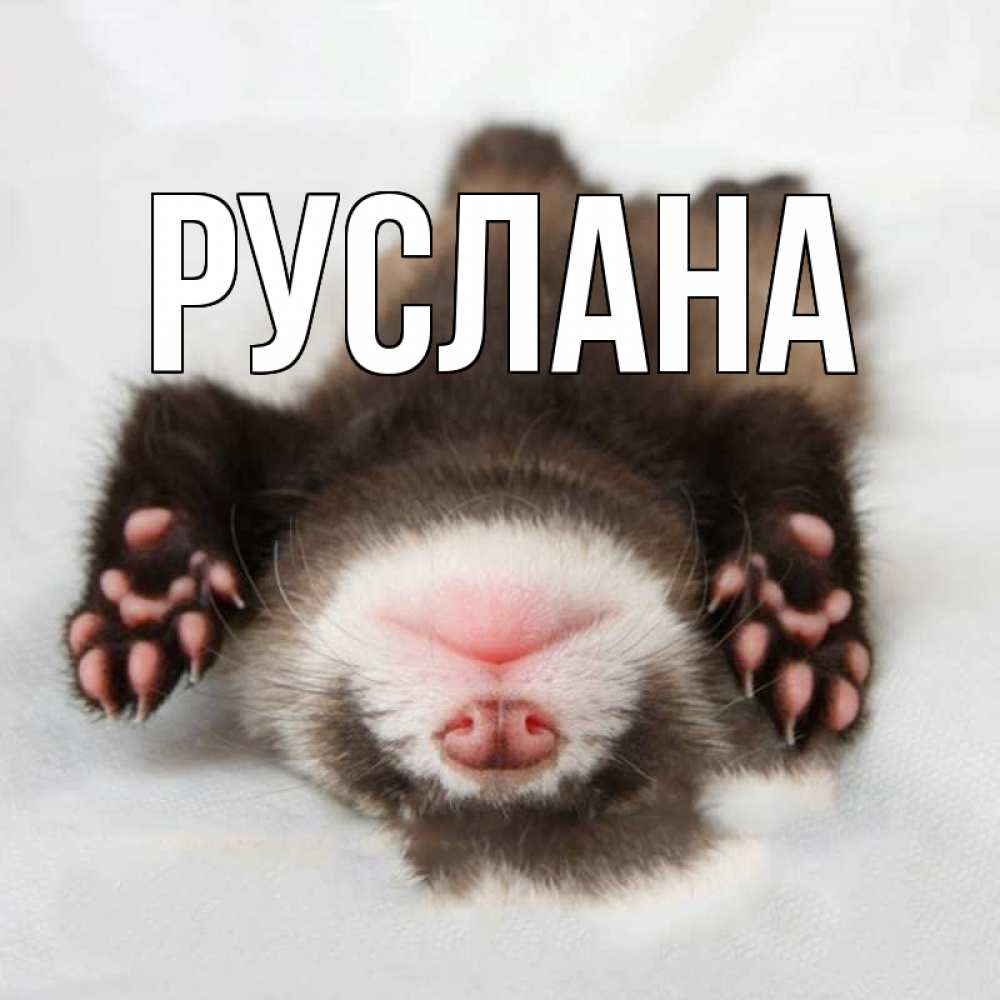 Открытка на каждый день с именем, Руслана Главная зверек Прикольная открытка с пожеланием онлайн скачать бесплатно 