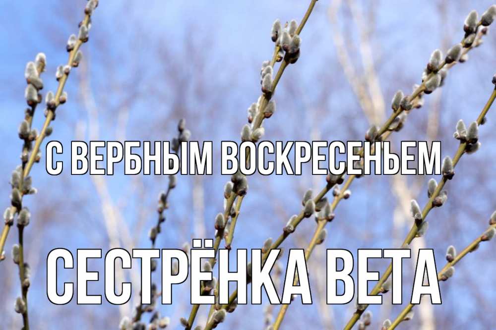 Открытка на каждый день с именем, Сестрёнка-Вета С вербным воскресеньем верба Прикольная открытка с пожеланием онлайн скачать бесплатно 