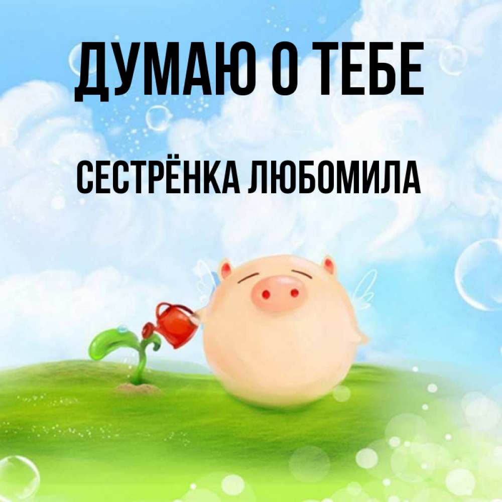 Открытка на каждый день с именем, Сестрёнка-Любомила Думаю о тебе позитивная свинюшка Прикольная открытка с пожеланием онлайн скачать бесплатно 