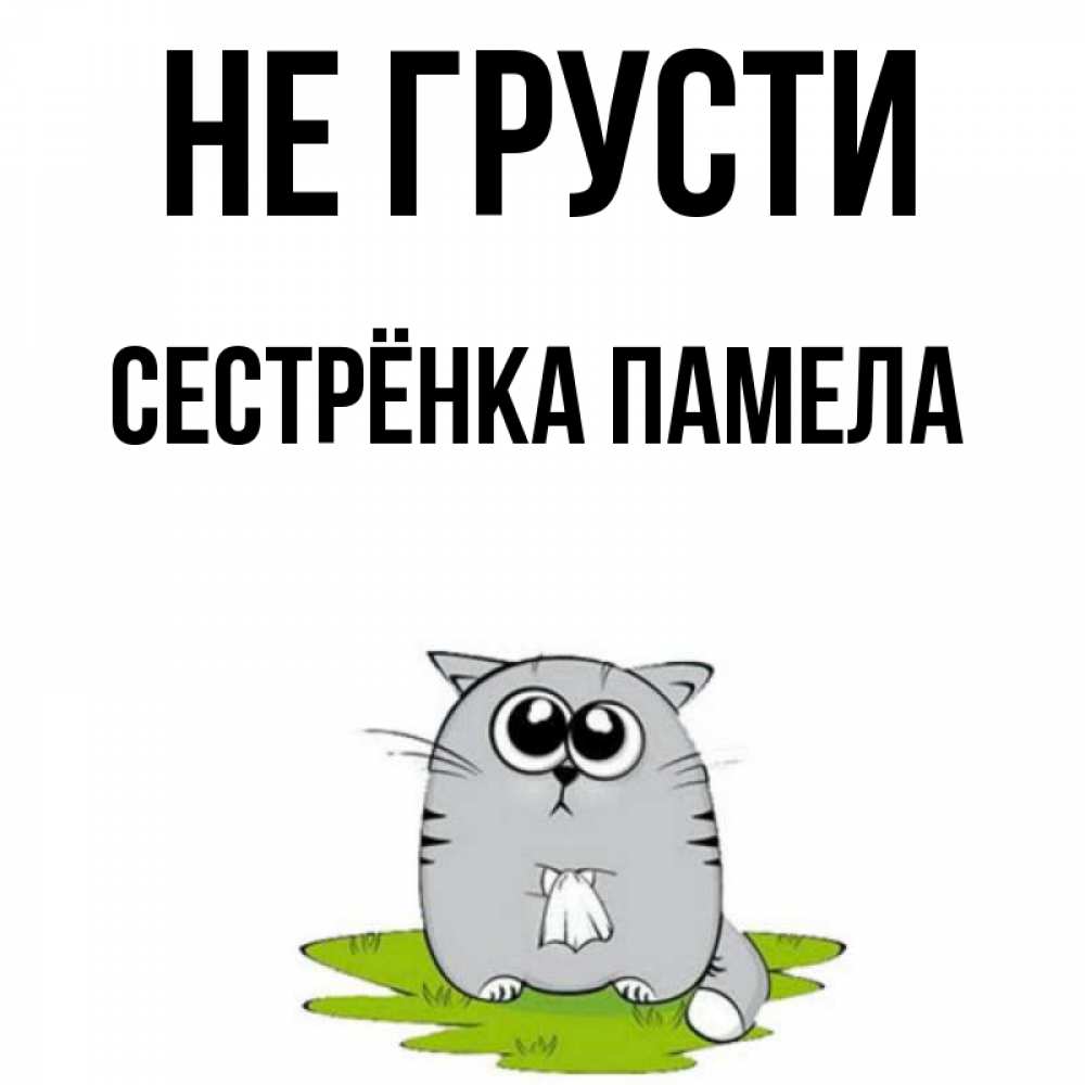 Открытка на каждый день с именем, Сестрёнка-Памела Не грусти грустный котяра Прикольная открытка с пожеланием онлайн скачать бесплатно 