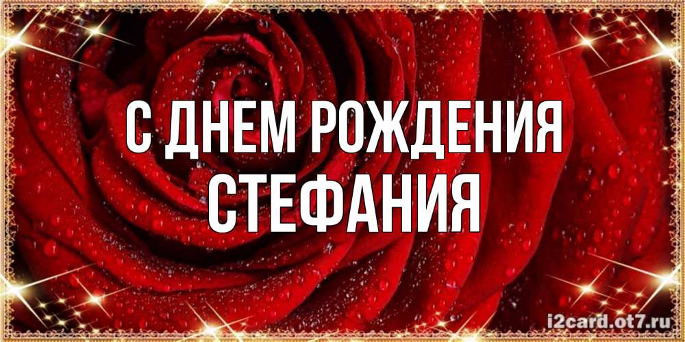 Открытка на каждый день с именем, Стефания С днем рождения роса на розе блестящая в лучах солнца Прикольная открытка с пожеланием онлайн скачать бесплатно 