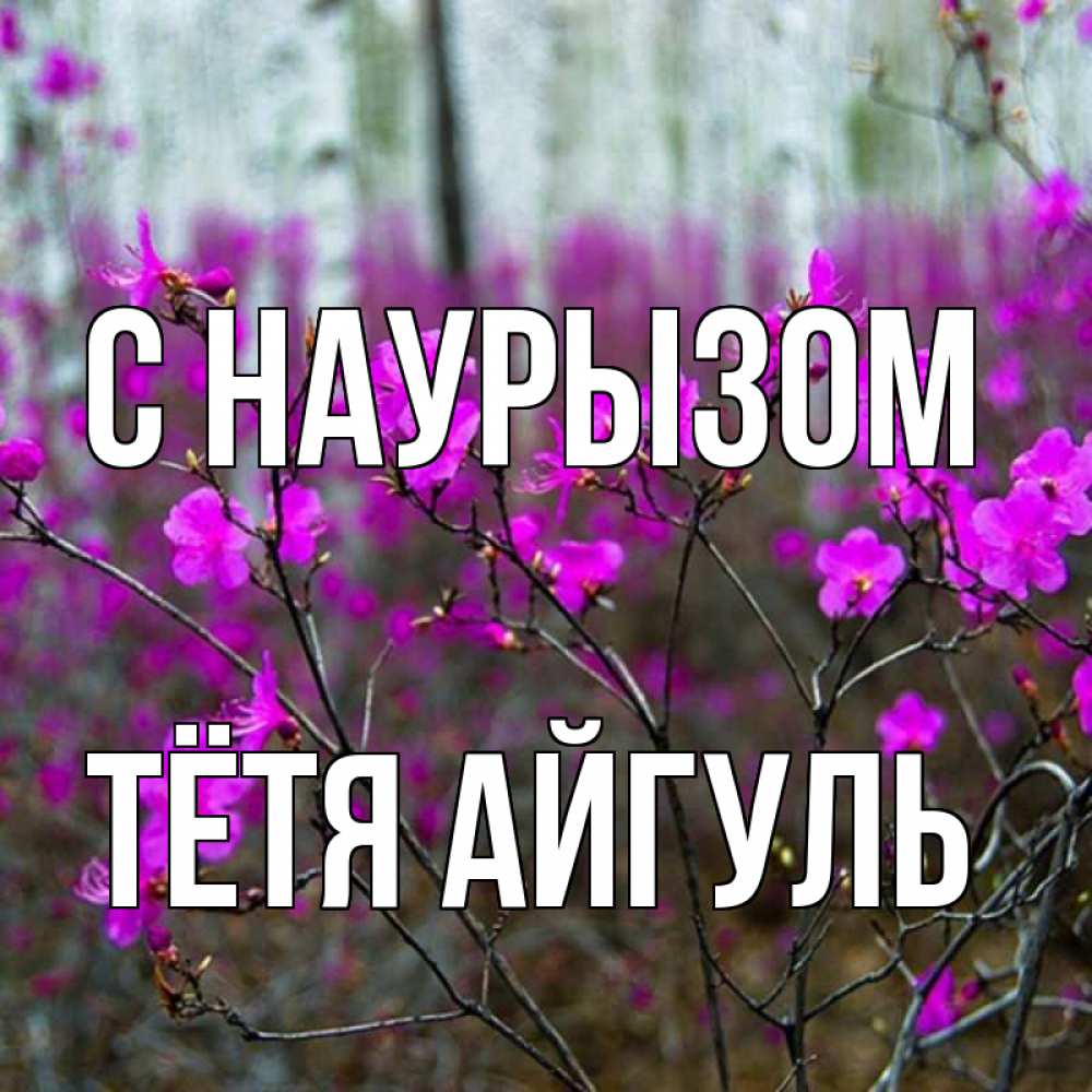 Открытка на каждый день с именем, Тётя-Айгуль С наурызом дикие цветы Прикольная открытка с пожеланием онлайн скачать бесплатно 