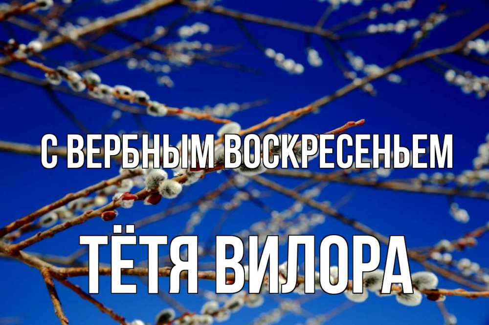 Открытка на каждый день с именем, Тётя-Вилора С вербным воскресеньем верба Прикольная открытка с пожеланием онлайн скачать бесплатно 
