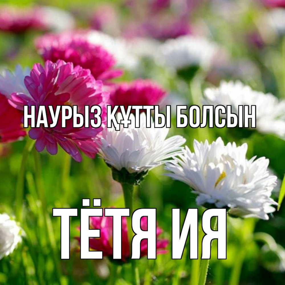 Открытка на каждый день с именем, Тётя-Ия Наурыз құтты болсын наурыз Прикольная открытка с пожеланием онлайн скачать бесплатно 