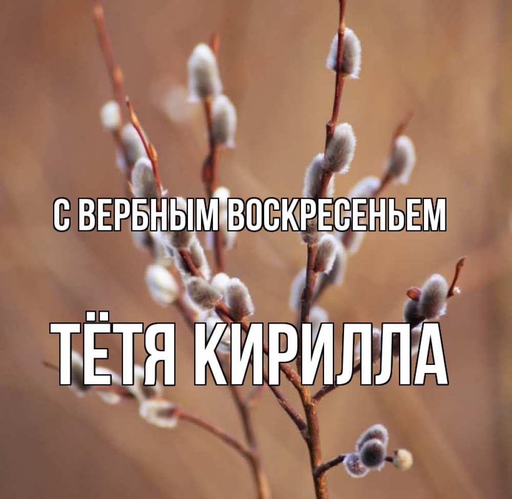 Открытка на каждый день с именем, Тётя-Кирилла С вербным воскресеньем верба Прикольная открытка с пожеланием онлайн скачать бесплатно 
