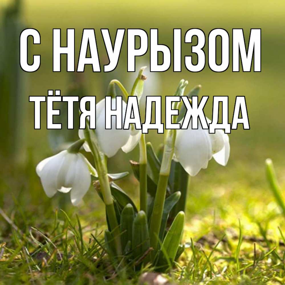 Открытка на каждый день с именем, Тётя-Надежда С наурызом ранние цветы 2 Прикольная открытка с пожеланием онлайн скачать бесплатно 
