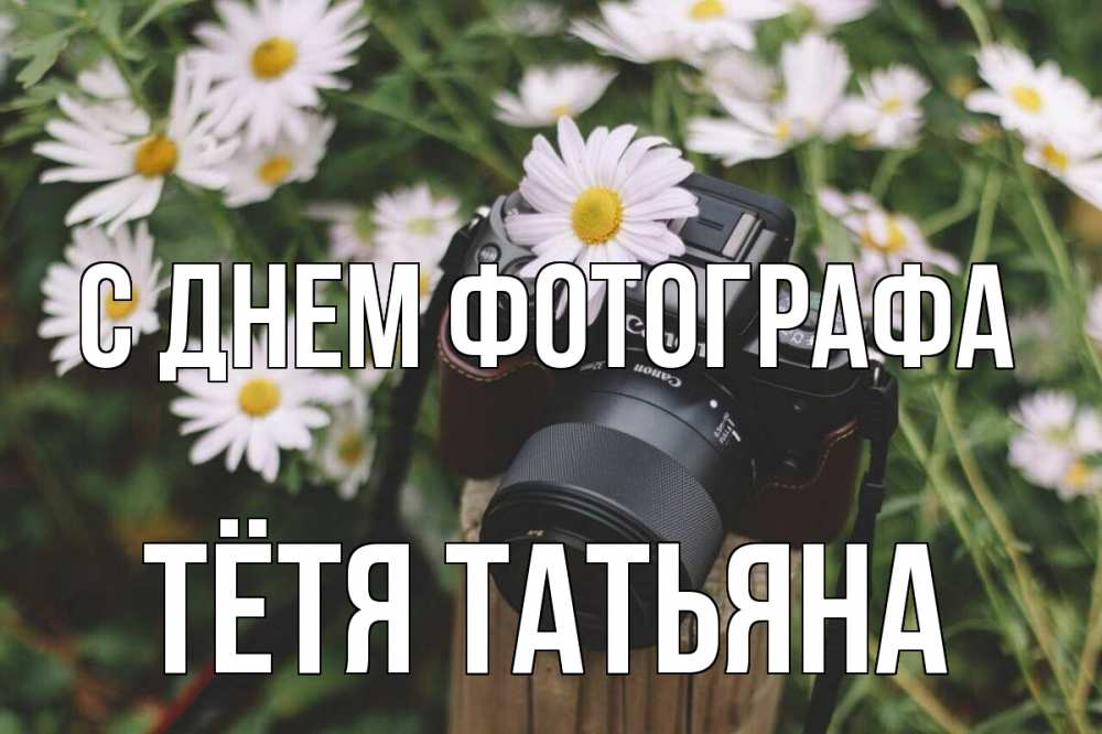 Открытка на каждый день с именем, Тётя-Татьяна С днем фотографа с днем фотографа Прикольная открытка с пожеланием онлайн скачать бесплатно 