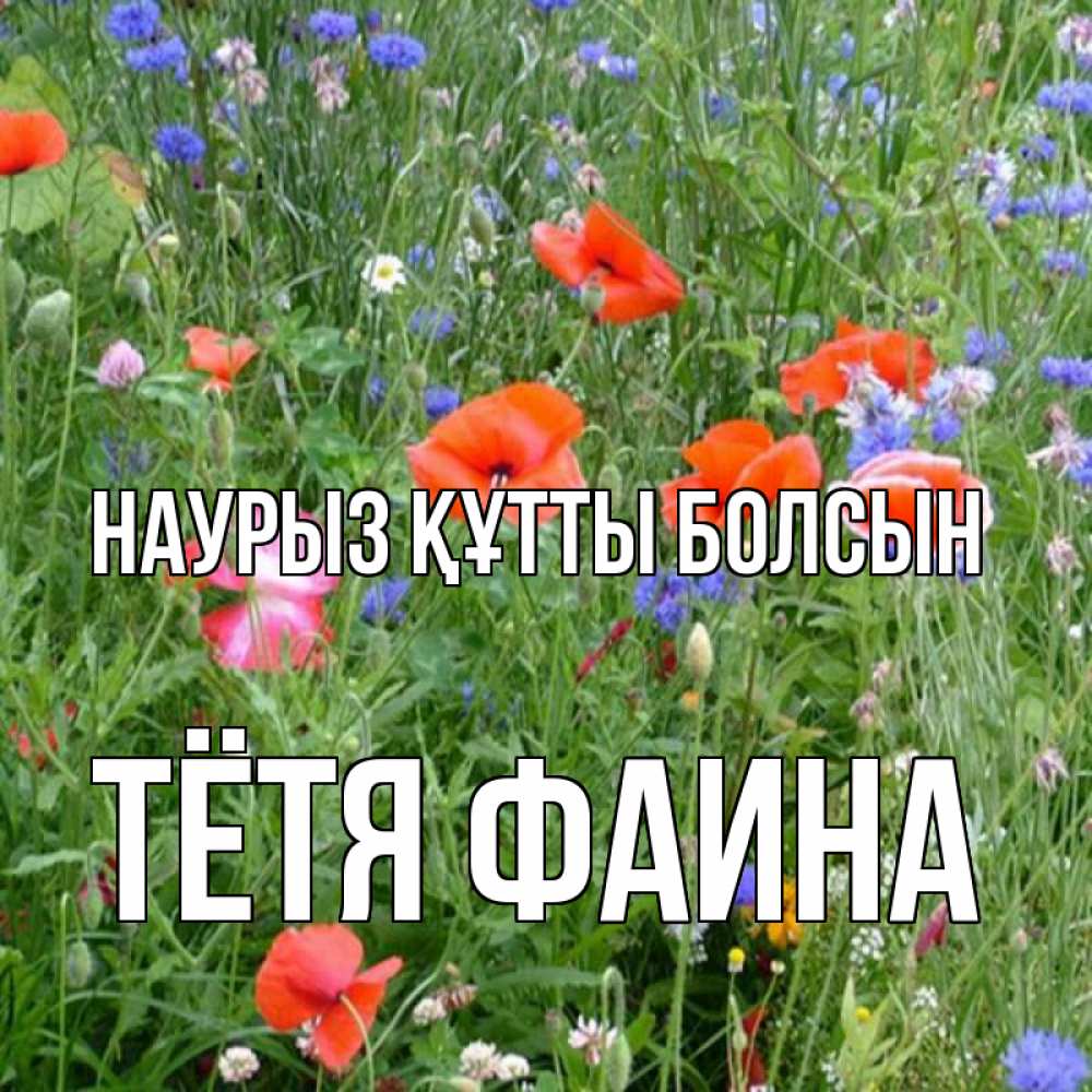Открытка на каждый день с именем, Тётя-Фаина Наурыз құтты болсын наурыз  4 Прикольная открытка с пожеланием онлайн скачать бесплатно 