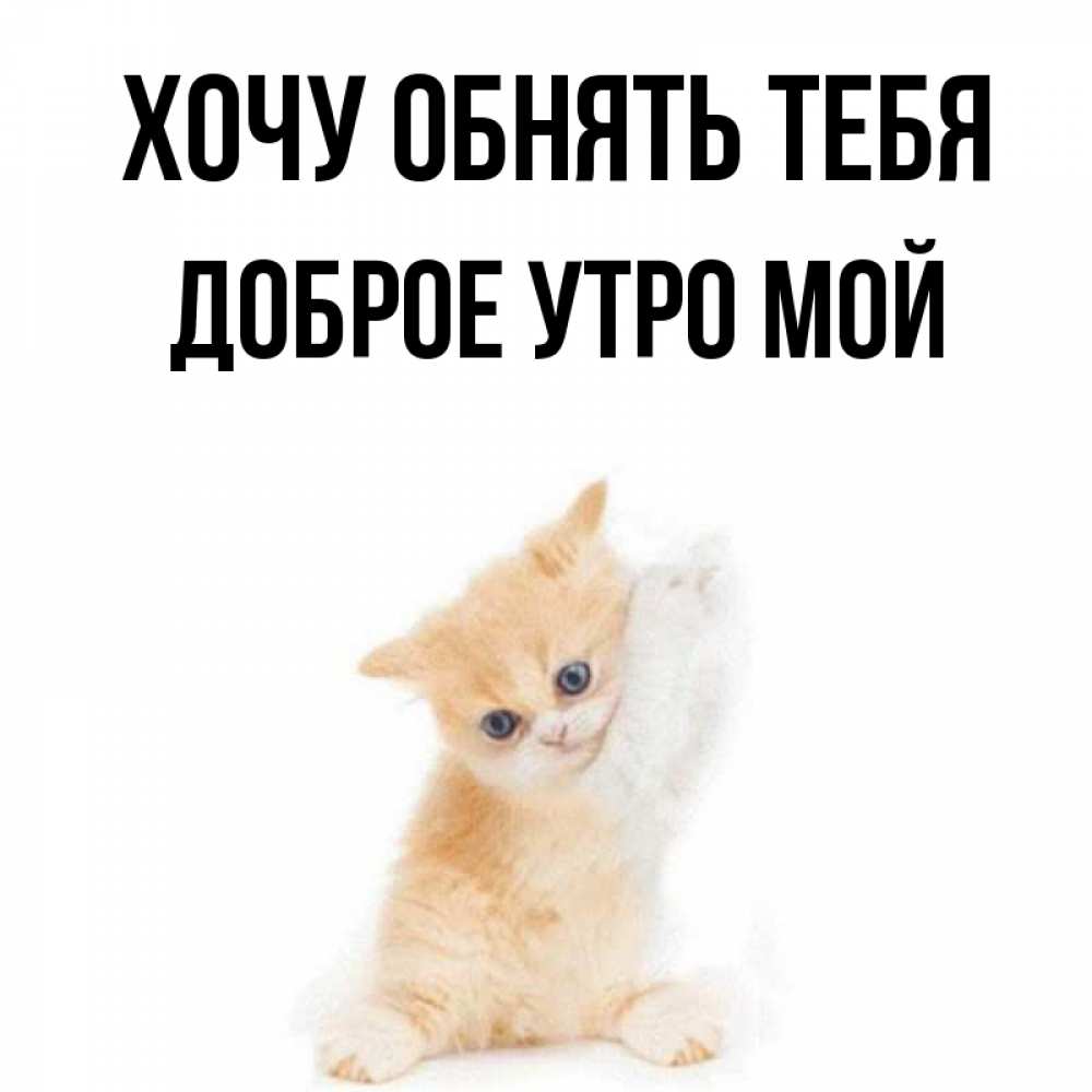 Днем матери, открытки с добрым утром обнимаю