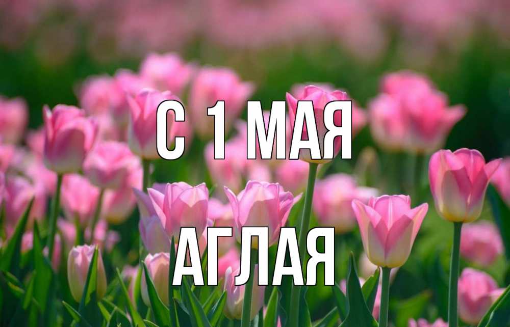 Открытка на каждый день с именем, Аглая С 1 мая С 1 мая Прикольная открытка с пожеланием онлайн скачать бесплатно 