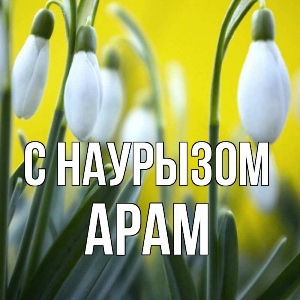 Открытка на каждый день с именем, Арам С наурызом весенние цветы Прикольная открытка с пожеланием онлайн скачать бесплатно 