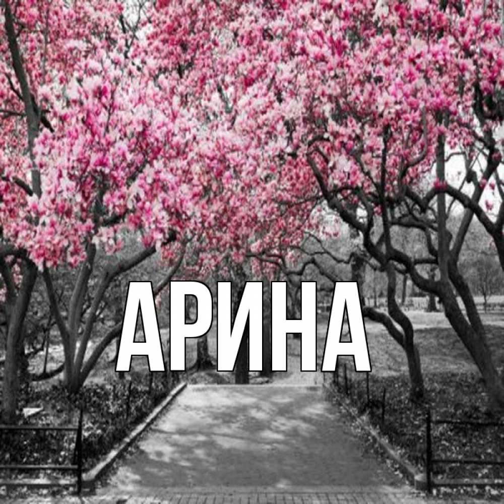 Открытка на каждый день с именем, Арина Главная обработанное фото Прикольная открытка с пожеланием онлайн скачать бесплатно 