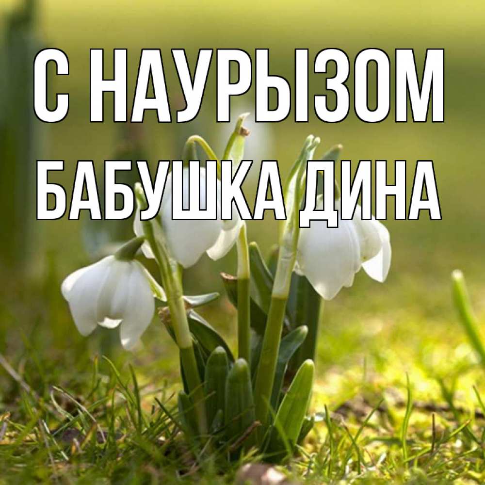Открытка на каждый день с именем, Бабушка-Дина С наурызом ранние цветы 2 Прикольная открытка с пожеланием онлайн скачать бесплатно 