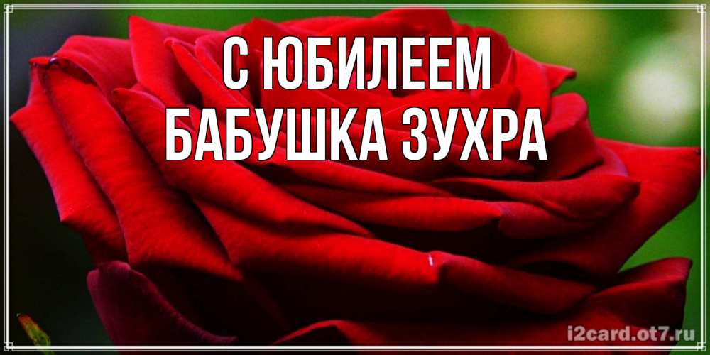 Открытка на каждый день с именем, Бабушка-Зухра С юбилеем розочка очень красивая Прикольная открытка с пожеланием онлайн скачать бесплатно 
