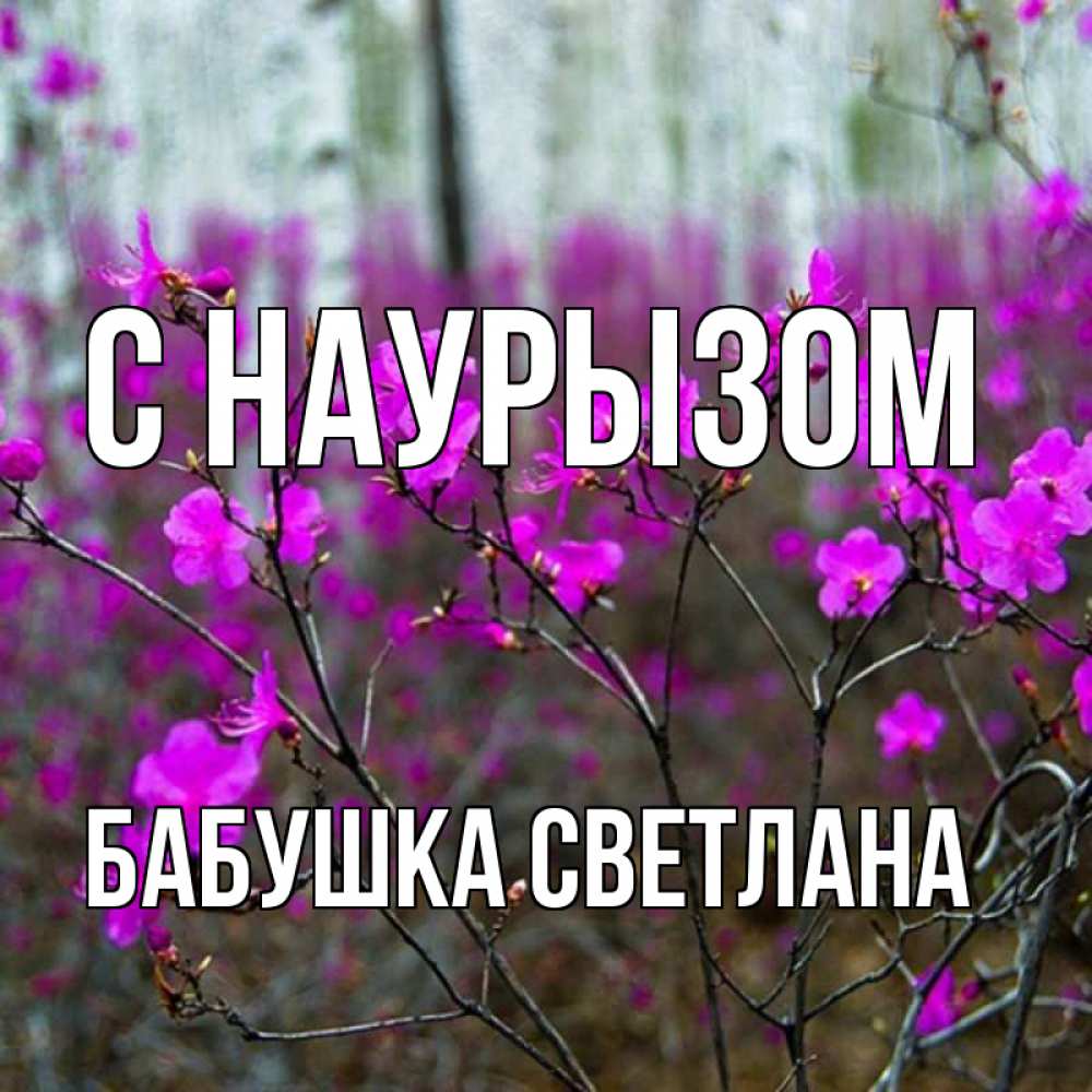 Открытка на каждый день с именем, Бабушка-Светлана С наурызом дикие цветы Прикольная открытка с пожеланием онлайн скачать бесплатно 
