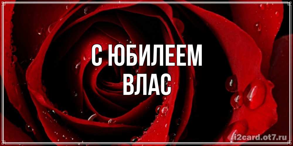 Открытка на каждый день с именем, Влас С юбилеем крупная бордовая роза Прикольная открытка с пожеланием онлайн скачать бесплатно 