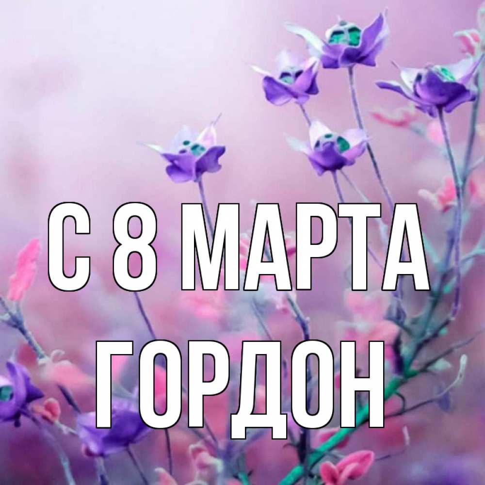 Открытка на каждый день с именем, Гордон С 8 МАРТА международный женский день 2 Прикольная открытка с пожеланием онлайн скачать бесплатно 