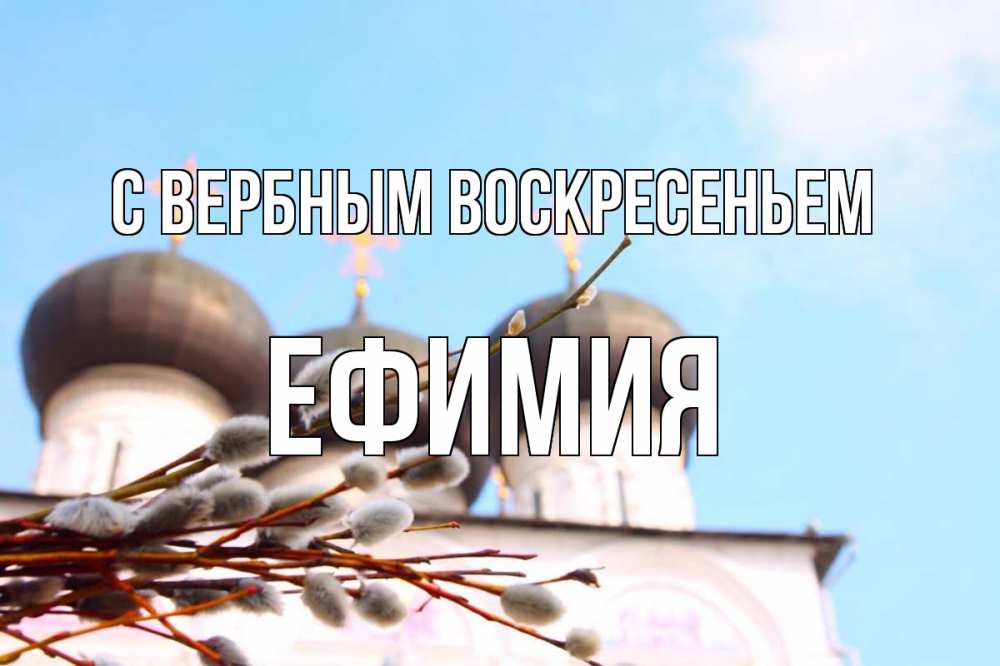 Открытка на каждый день с именем, Ефимия С вербным воскресеньем верба Прикольная открытка с пожеланием онлайн скачать бесплатно 