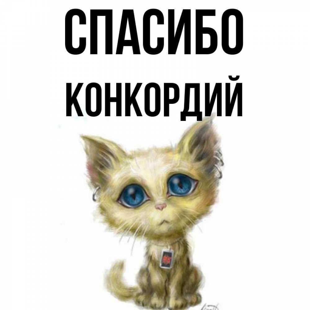 Открытка на каждый день с именем, Конкордий Спасибо рисованный кот благодарит вас Прикольная открытка с пожеланием онлайн скачать бесплатно 