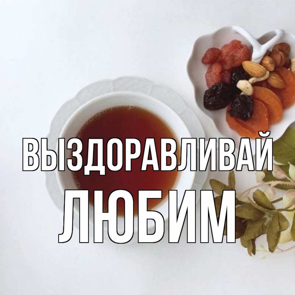Открытка на каждый день с именем, Любим Выздоравливай неизвестные растения Прикольная открытка с пожеланием онлайн скачать бесплатно 