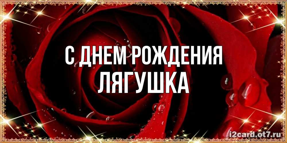 Открытка на каждый день с именем, Лягушка С днем рождения цветок в росе на день рождения Прикольная открытка с пожеланием онлайн скачать бесплатно 