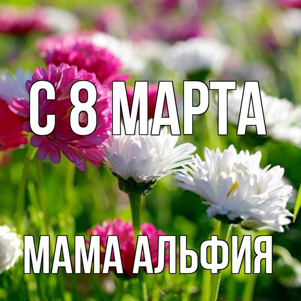 Открытка на каждый день с именем, Мама-Альфия С 8 МАРТА международный женский день 1 Прикольная открытка с пожеланием онлайн скачать бесплатно 