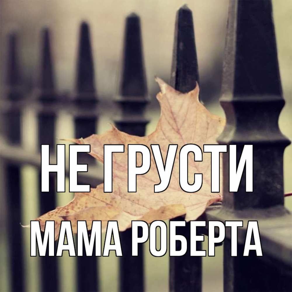 Открытка на каждый день с именем, Мама-Роберта Не грусти лист клена Прикольная открытка с пожеланием онлайн скачать бесплатно 