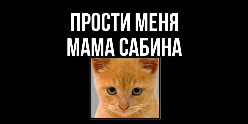 Открытка на каждый день с именем, Мама-Сабина Прости меня рыжий грустный кот просит прощения Прикольная открытка с пожеланием онлайн скачать бесплатно 