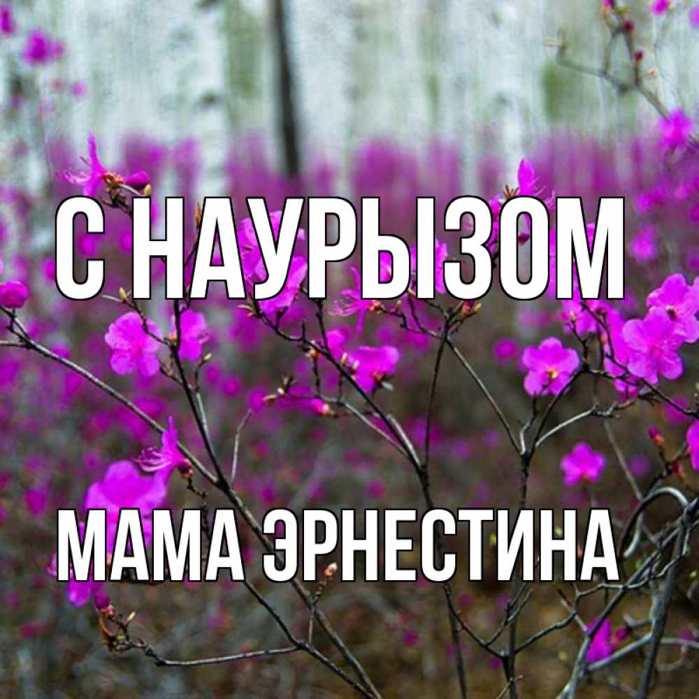 Открытка на каждый день с именем, Мама-Эрнестина С наурызом дикие цветы Прикольная открытка с пожеланием онлайн скачать бесплатно 